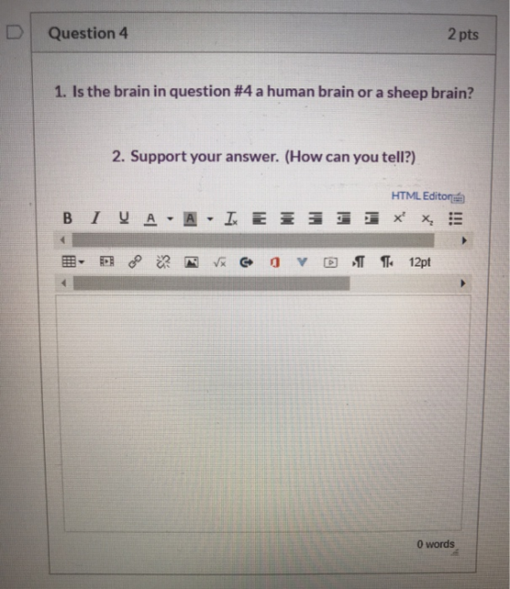 Question 4 2 pts 1. Is the brain in question #4 a human brain or a sheep brain? 2. Support your answer. (How can you tell?) H