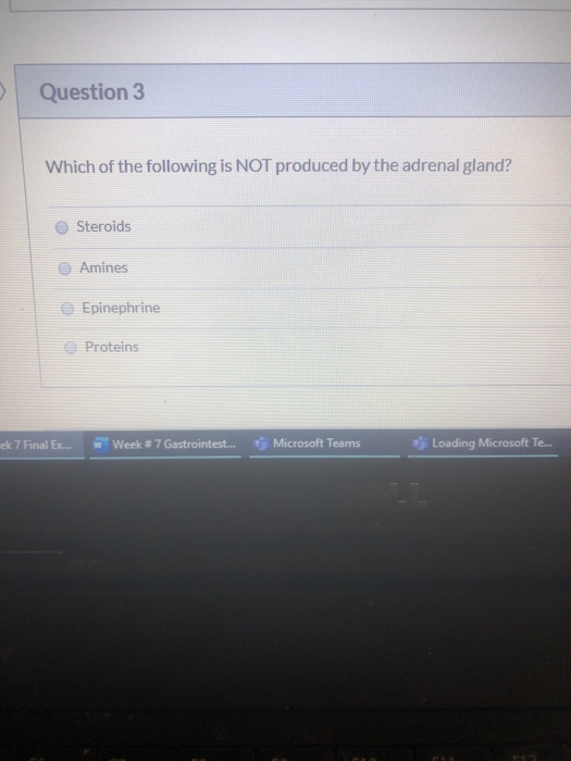 Question 3 Which of the following is NOT produced by the adrenal gland? Steroids Amines OEpinephrine Proteins Loading Microso