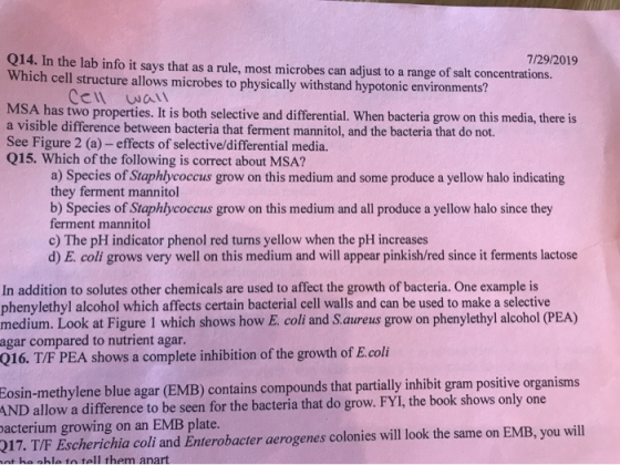 Q14. In the lab info it says that as a rule, most microbes can adjust to a range of salt concentrations. 7/29/2019 Which cell