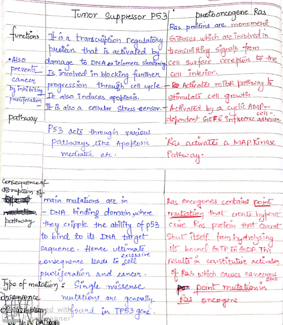 One lons . ALSO Tumor suppressor_p53/_ pustooncogene_Ras Bas_pooleins are roonomerve Iisa transcuibtion regulatory GTPases wh