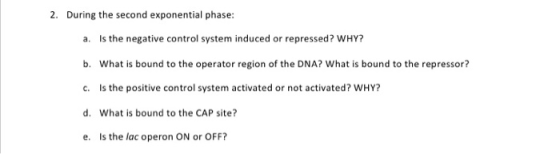 2. During the second exponential phase: a. Is the negative control system induced or repressed? WHY? b. What is bound to the