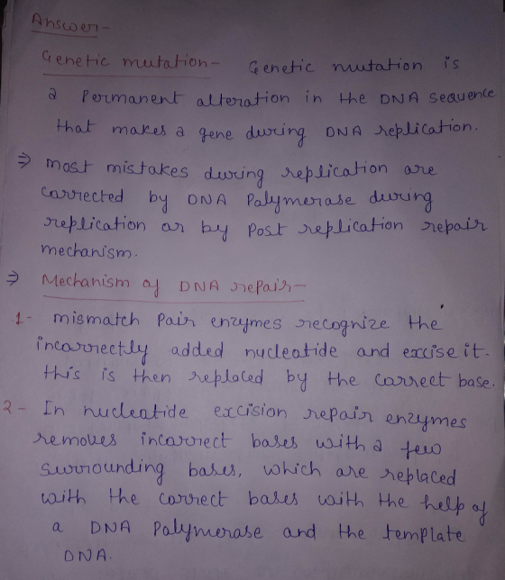 G enethic mutation-qenetic nmutation s perman en上alteration in t-he DNA seguence ha mares a by ONA Palymatase dburg mechanism. Mechanisma.l DNA Jepal.),- mismath Pai enmes netognize the incauunectly added nucteatide and excise it His is then replated by the laeet base 2- In nulatide etdision epain enmes suwunounding bau, vwkich are neplaced with the cowhect bakes vith the help a a DNA Pabjmmase arnd the template DNA