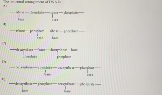 The structural arrangement of DNA is A) -ribose---phosphate-ribose---phosphate — 1 base base B) -ribose -phosphate-ribose-pho