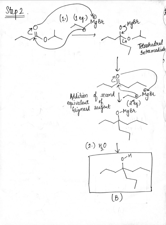 Step 2 (1-) 629.) Mg Br og mere Tetrahedral Intermediate Addition of second Mgbr 28 q.) o-Mg Br equivalent alignard reagent (