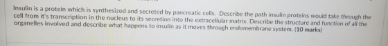 Insulin is a protein which is synthesized and secreted by pancreatic cells. Describe the path insulin proteins would take thr