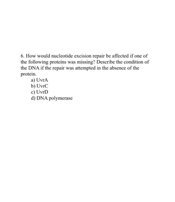 6. How would nucleotide excision repair be affected if one of the following proteins was missing? Describe the condition of t