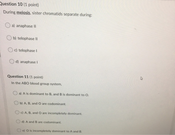 Question 10 (1 point) During meiosis, sister chromatids separate during: a) anaphase II b) telophase II Oc) telophase 1 d) an