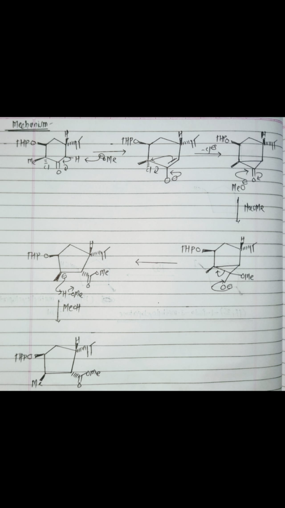 Mechanism thro THP m a 께 Pome d theme THPOE THPO- home -ople 06 Shame Meat