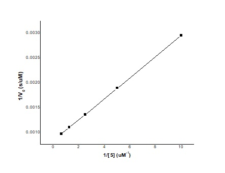 0.00301 0.00251 30.0020 1N 0.0015 0.0010 11[S] (UM)