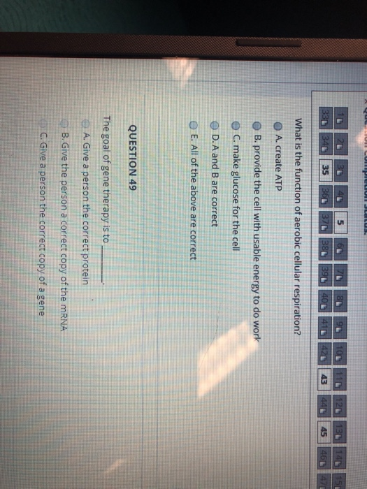 aiduuon uou anh x 5 12L 13 14 15 330 34 35 36 37 38 39 40 41 43 44 45 46 47 What is the function of aerobic cellular respirat