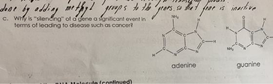 ? ??? 2209 PID233. done by adding methyl groups to the genes, so that fene is inactive c. Why is silencing of a gene a sign