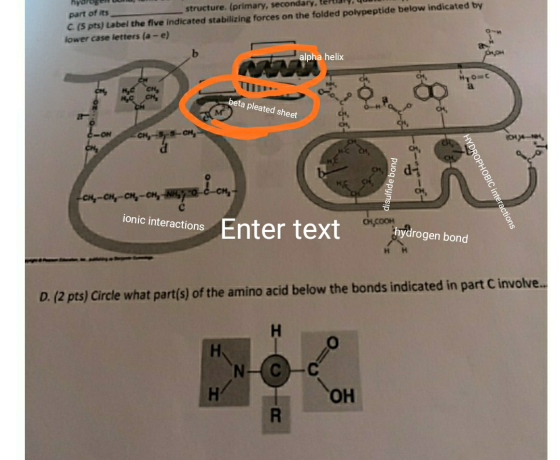 hydrogen bonu, part of its structure. (primary, secondary, tertiary, quum (5 pts) Label the five indicated stabilizing forces