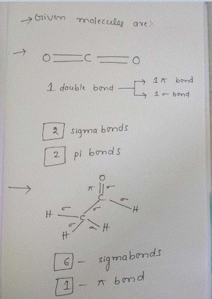1 double brn R signa bonds 2. pi bondS signabonds
