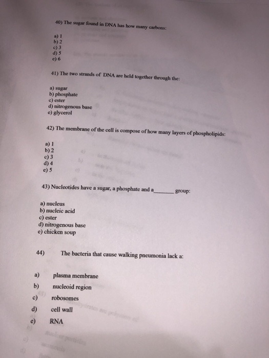 40) The sugar found in DNA has how many carbons: b) 2 c) 3 d) 5 e) 6 41) The two strands of DNA are held together through the