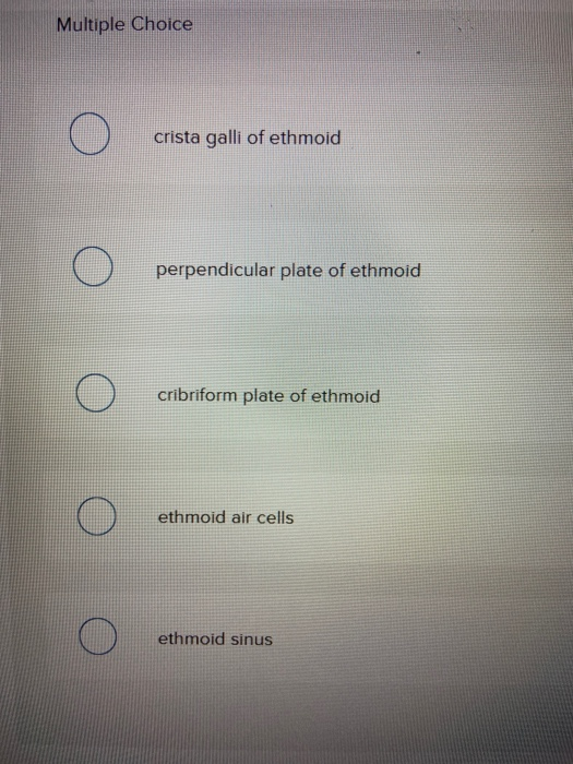 Multiple Choice O crista galli of ethmoid perpendicular plate of ethmoid cribriform plate of ethmoid ethmoid air cells ethmoi