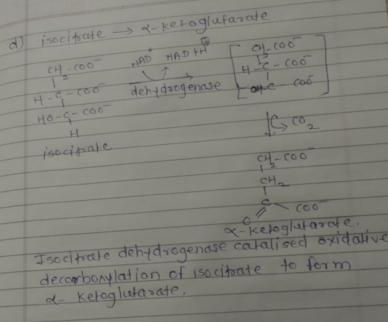 a-ketoglutarate. isocifrete NAD HAD TH CH-coo THC - cool dehydrogenase Lone TH-a-coo con Ho-c-cool jeco isocipate CH-coo Otel