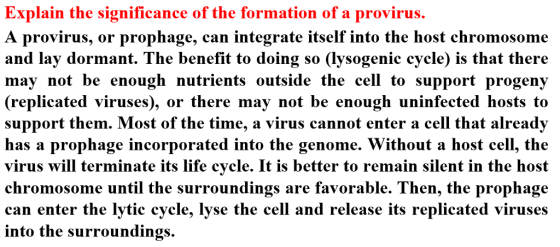 Explain the significance of the formation of a provirus. A provirus, or prophage, can integrate itself into the host chromoso