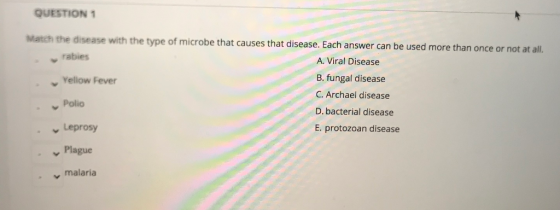 QUESTION 1 Match the disease with the type of microbe that causes that disease. Each answer can be used more than once or not
