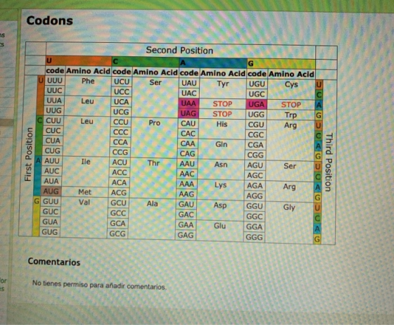 Codons Second Position CUA CAA First Position code Amino Acid code Amino Acid code Amino Acid code Amino Acid UUUU Phe UCU Se