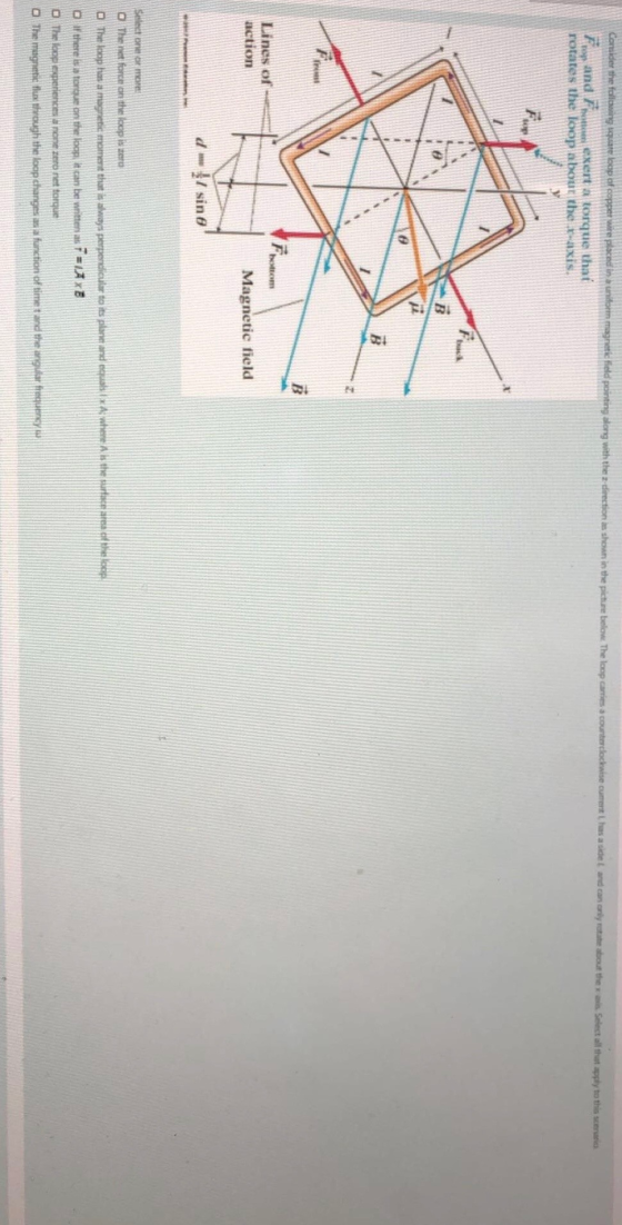 Consider the following quite loop of copper wire placed in a uniform magnetic field pointing along with the direction as show