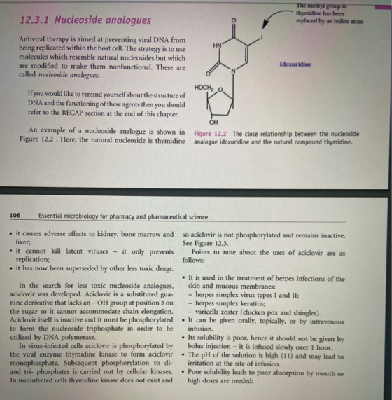 The methyl group in thymidine has been replaced by an iodine atom 12.3.1 Nucleoside analogues Antiviral therapy is aimed at p