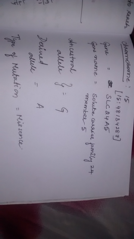 to LIS: 48 13428 ncutral erun M48 sente.