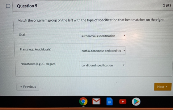 Question 5 1 pts Match the organism group on the left with the type of specification that best matches on the right. Snail au