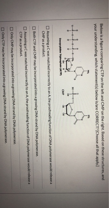 Below is a figure comparing CTP on the left and CMP on the right. Based on these structures, and your understanding, which st