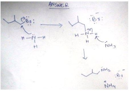 ANSWNE R 966: :63 ?? NH3 ? NH