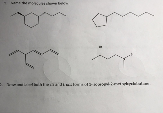 1. Name the molecules shown below Br Br 2. Draw and label both the cis and trans forms of 1-isopropyl-2-methylcyclobutane.