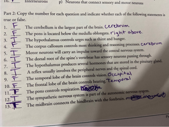 16. Interneurons p) Neurons that connect sensory and motor neurons Part 2: Copy the number for each question and indicate whe