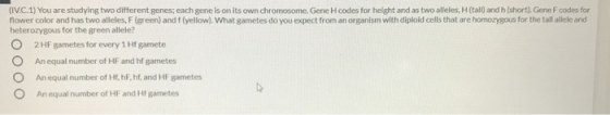 (IV.C.1) You are studying two different genes; each gene is on its own chromosome. Gene H codes for height and as two alleles