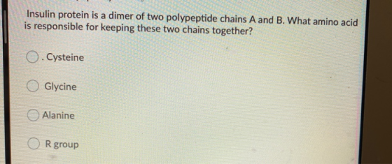 Insulin protein is a dimer of two polypeptide chains A and B. What amino acid is responsible for keeping these two chains tog