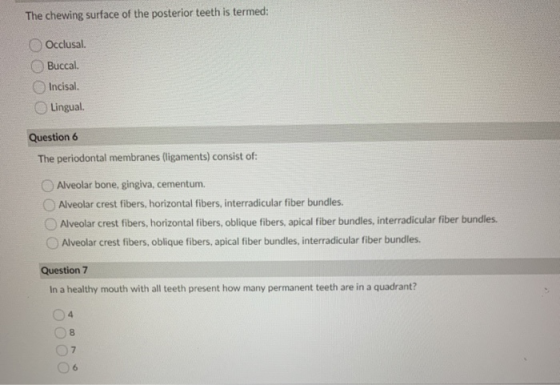 The chewing surface of the posterior teeth is termed: Occlusal. Buccal. Incisal. Lingual Question 6 The periodontal membranes
