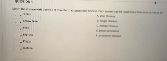 QUESTION 1 rabies Match the disease with the type of microbe that causes that disease. Each answer can be used more than one