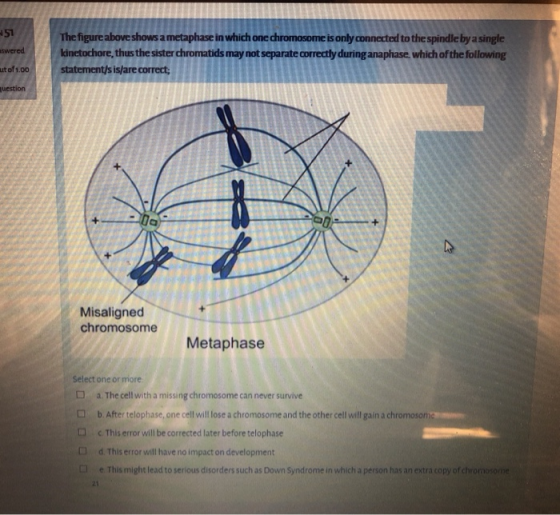 51 aswered The figure above shows a metaphase in which one chromosome is only connected to the spindle by a single kinetochor