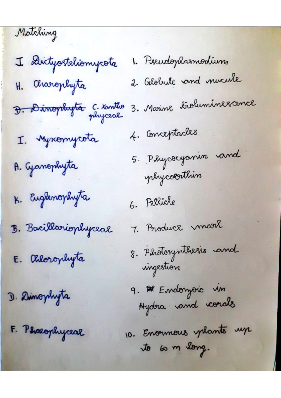Matching I Dictyosteliomycota I. Pseudoplasmodium H. Charoplyta 2. Globule and mucule D. Dinophyta C. Xantho 3. Marine biolum