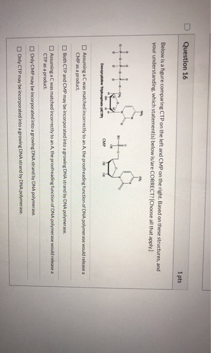 Question 16 1 pts Below is a figure comparing CTP on the left and CMP on the right. Based on these structures, and your under