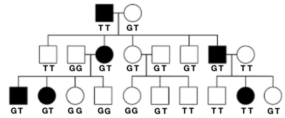 TT. GT TT GG GT GT GT GT GT GT GT GG GG GG GT TT TTTT GT