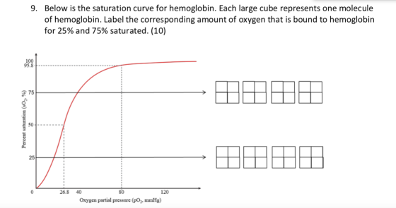 9. Below is the saturation curve for hemoglobin. Each large cube represents one molecule of hemoglobin. Label the correspondi
