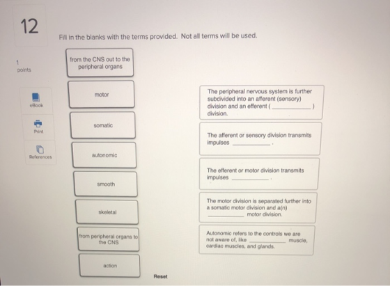 12 Fill in the blanks with the terms provided. Not all terms will be used. from the CNS out to the peripheral organs points m