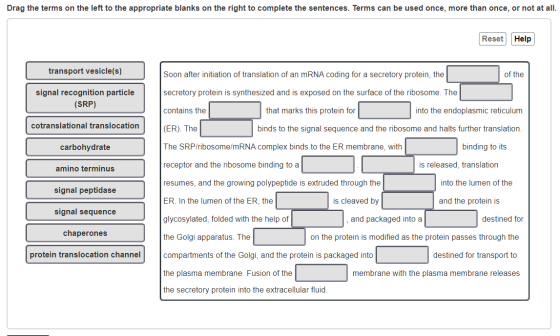 Drag the terms on the left to the appropriate blanks on the right to complete the sentences. Terms can be used once, more tha