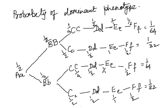 Probabity of domenant phenotype. ع : م م ج ت ي ce - Dod e f f = 4