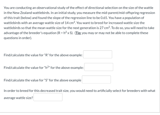 You are conducting an observational study of the effect of directional selection on the size of the wattle in the New Zealand