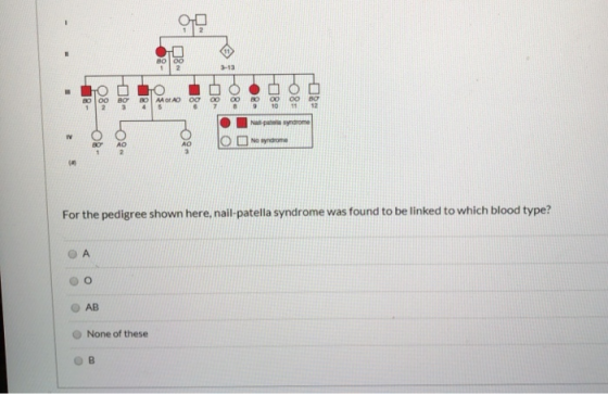 08 - Lola For the pedigree shown here, nail-patella syndrome was found to be linked to which blood type? ОА O AB None of thes