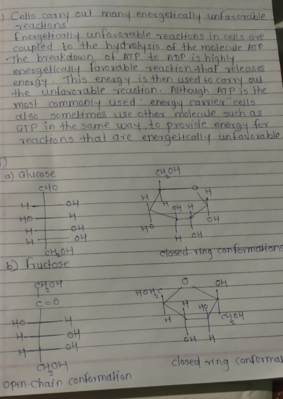 ) Cells carry out many energetically unfavorable reactions Inergetically unfavoreeble reactions in cells are coupled to the h