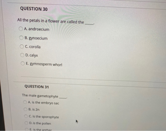 QUESTION 30 All the petals in a flower are called the A. androecium B. gynoecium OC. corolla D. calyx E.gymnosperm whorl QUES
