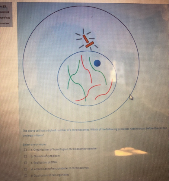N52 nswered out of 1.00 question The above cell had a diploid number of chromosomes. Which of the following processes need to