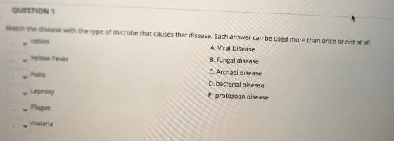QUESTION 1 Watch the disease with the type of microbe that causes that disease. Each answer can be used more than once or not