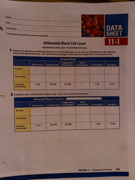 Name Date Lab Section I was present and performed this exercise DATA SHEET 11-1 Differential Blood Cell Count OBSERVATIONS AN